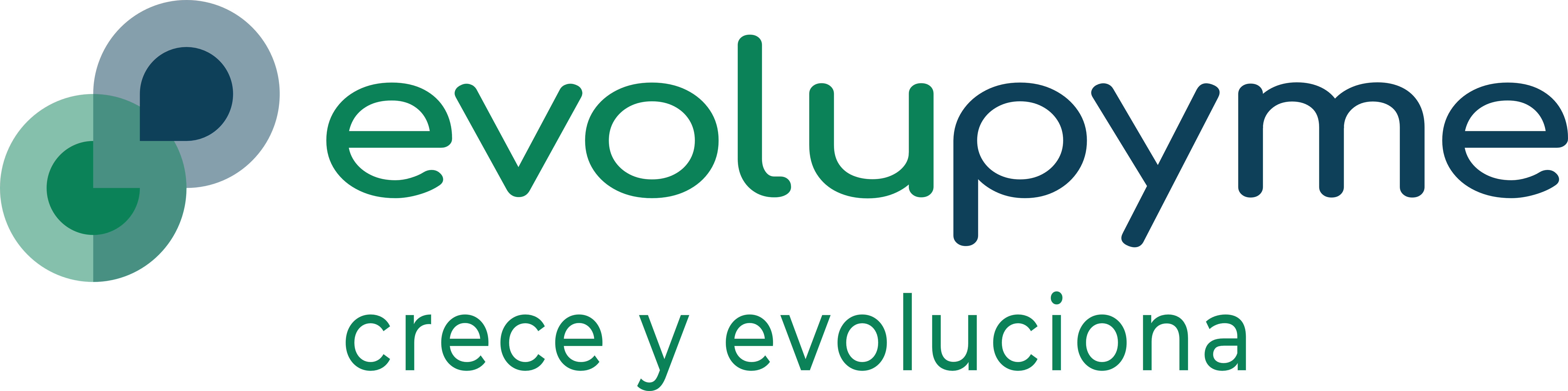 evolupyme — aliado estratégico de DocuPro